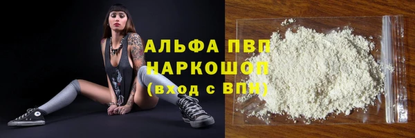 стафф Дмитров