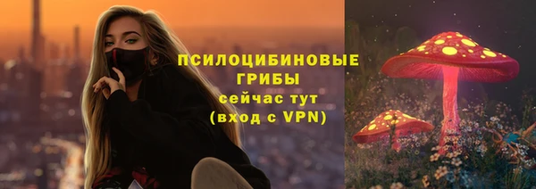 стафф Дмитров