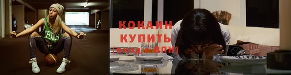 стафф Дмитров