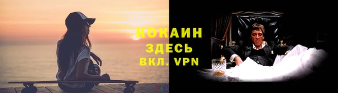 кокаин Дмитриев