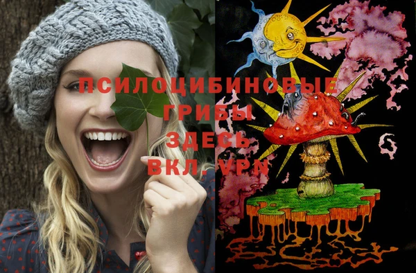 кокаин Дмитриев