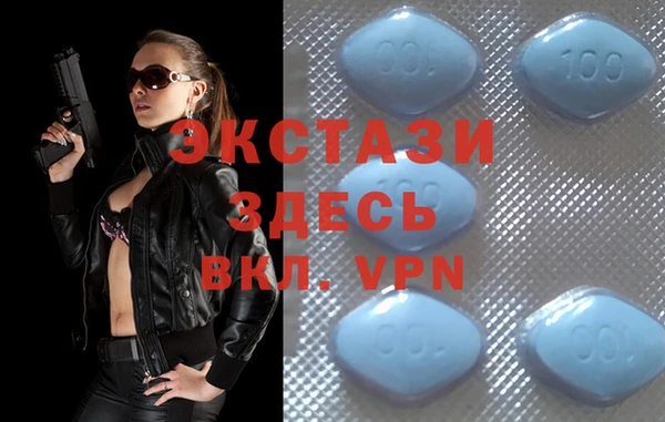 стафф Дмитров